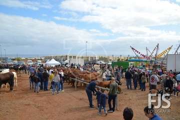 Los Llanos de Telde, en el día grande de sus fiestas patronales de 2019 (Foto Francisco Javier Santana)